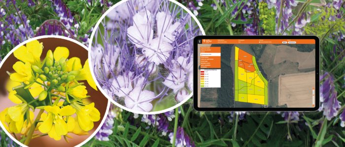 avec _tablette_valoriser mes couverts interculture